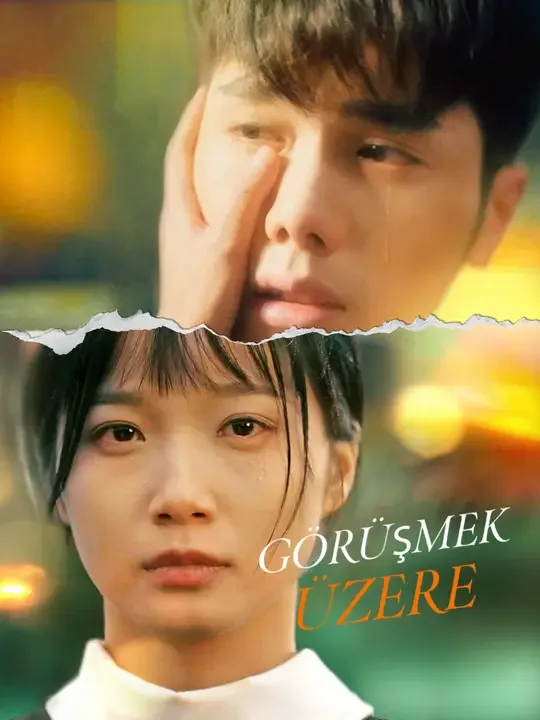 Görüşmek Üzere